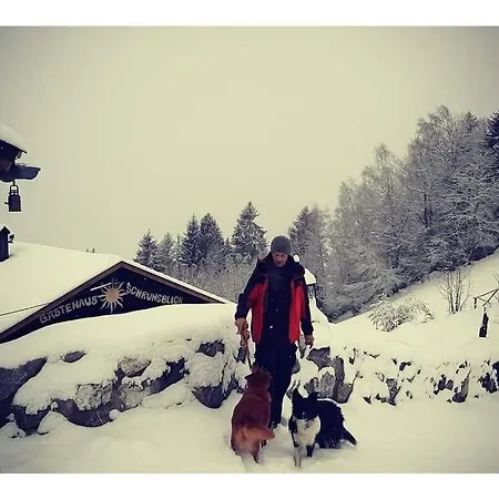 Alpine Vacation Schruns