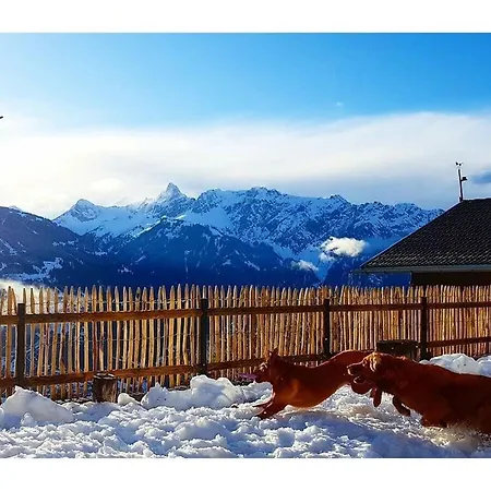 Alpine Vacation